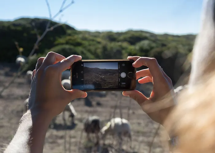 Il Cortiletto Maison Tresnuraghes